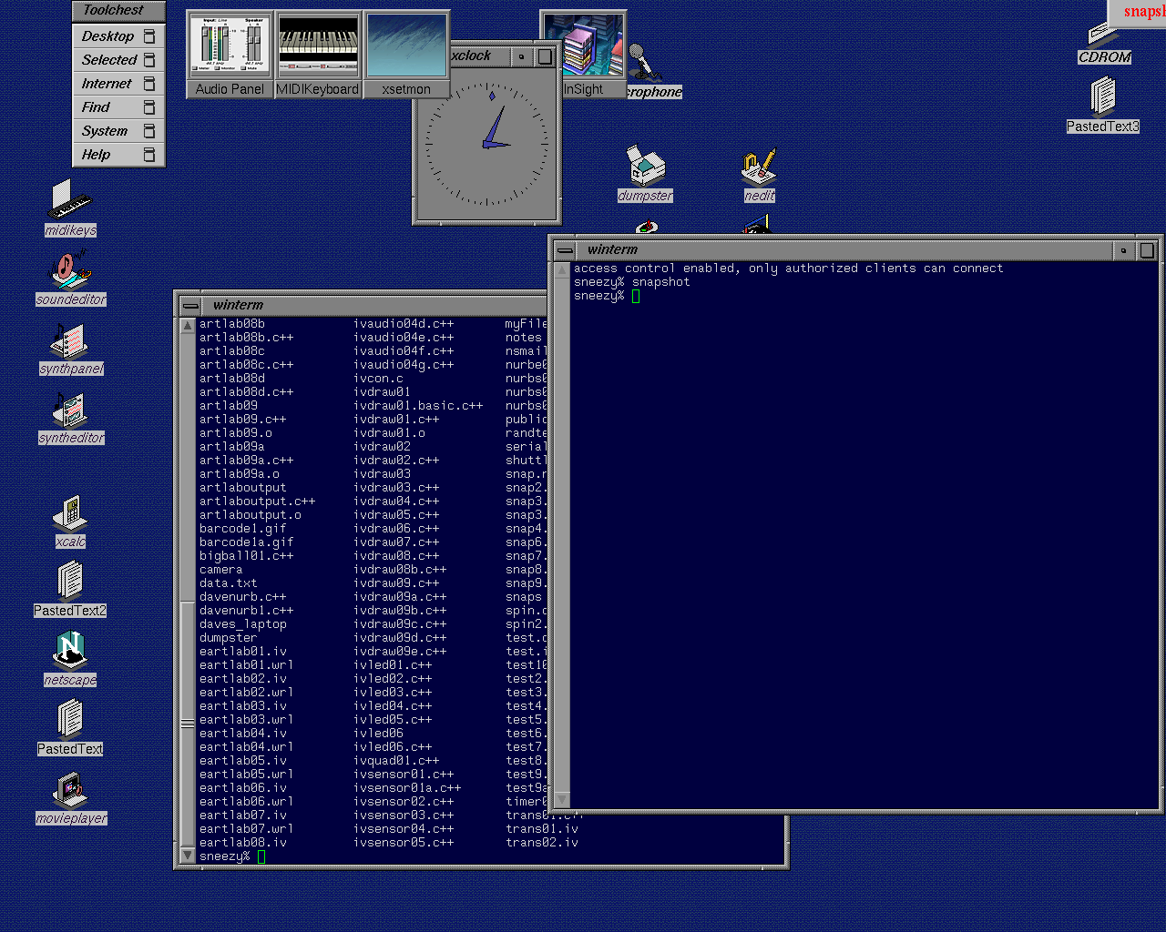 Irix interface during development